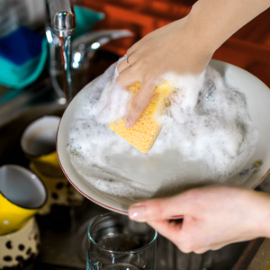 منظف مطبخ من جلوواي, إسفنج تنظيف سيزال ونباتات أو ألياف جوز الهند لا يحتاج إلى أي خدش لا يحتاج إلى رائحة - Product Image 6