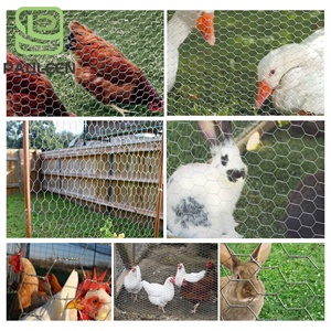 سلك دجاج 24inx50ft سلك دواجن المعاوضة مكافحة الصدأ سداسية المجلفن سياج الحديقة في الهواء الطلق - Product Image 4
