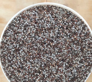 1kg <span class=keywords><strong>di</strong></span> prezzo all'ingrosso Nautral <span class=keywords><strong>semi</strong></span> <span class=keywords><strong>di</strong></span> perilla bianchi misti interi grezzi e <span class=keywords><strong>semi</strong></span> <span class=keywords><strong>di</strong></span> perilla rosso marrone per uccelli - Product Image 2