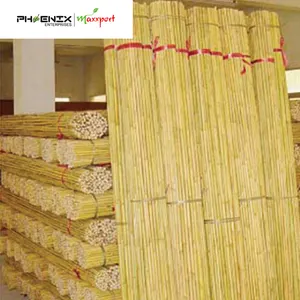 Natural Bamboo Stake Garden Stake Plant Support Natural Eco-Friendly Agribultural And Garden Bamboo Supporter