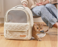 Grand sac à dos portable respirant à double épaule pour chat, conception de capsule spatiale avec microphone pour sortir avec des chiens et des chats