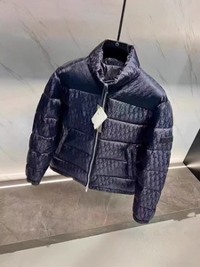 Giacca Piumino da Uomo Slim-Fit Casual con Collo Alto e Cerniera, Calda e Spessa, <span class=keywords><strong>Trendy</strong></span> per l'Inizio dell'Inverno 2026 - Product Image 2