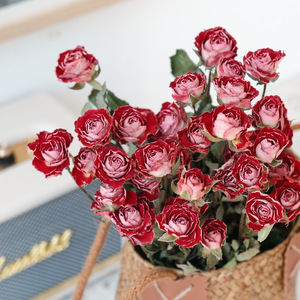 Branches de fleurs naturelles séchées multi-têtes en forme de diamant, mini-roses séchées à l'air, vraies fleurs Rosa Multiflora pour arrangements floraux, bouquets et vases - Product Image 3