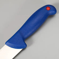 Couteau utilitaire de boucher de pêche de filet de cuisine messer en acier inoxydable personnalisé en gros d'usine avec manche en PP bleu