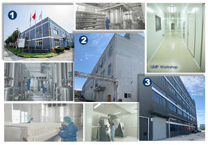 Garde alimentaire N Acétyl <span class=keywords><strong>Glucosamine</strong></span> N-Acétyl <span class=keywords><strong>Glucosamine</strong></span> poudre - Product Image 4