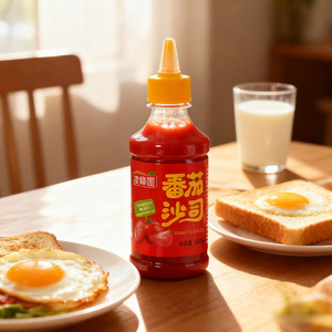 Sauce tomate, assaisonnement, vinaigrette végétarienne, marque d'usine chinoise, logo OEM, vente en gros commerciale, flacon souple à presser - Product Image 1