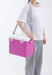 Usine en gros 17 pièces pique-nique en plein air <span class=keywords><strong>Camping</strong></span> bière refroidissement Mini voiture en plastique glacière pichet à eau ensemble - Product Image 4