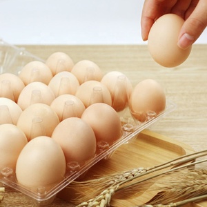 Samstech Nhựa Khay Trứng Hình Thành Thiết Bị, Khay Hình Thành Thiết Bị - Product Image 6