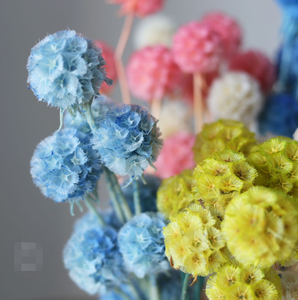 Un mazzo di fiori per la sposa a 10 stelo decorazione di fiori secchi a forma di foglia per decorazioni per feste in ufficio - Product Image 2