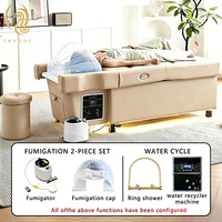 Lit de Massage Thaïlandais Multifonctionnel Jincheng pour Salon, Chaise de Pédicure et Lavage des Cheveux Électrique à Dossier Relevable, Lit de Lavage pour Tête et Spa