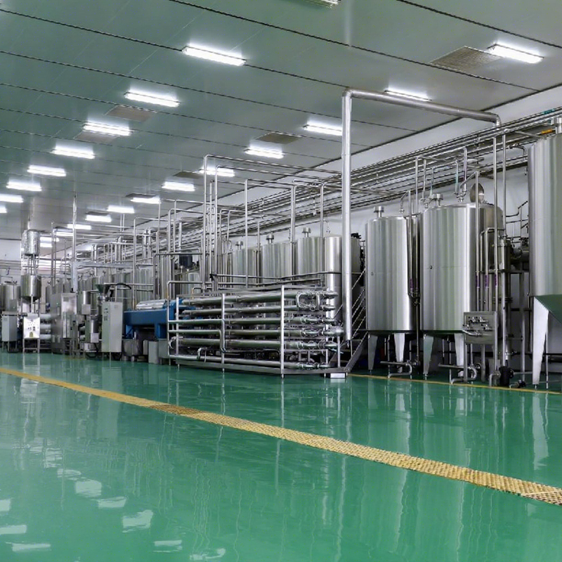 Automatic High Quality Grape Processing Line