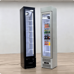 Refrigerador Comercial Vertical Delgado de Una Puerta y Una Sola Temperatura para Exhibición de Bebidas y Vegetales - Product Image 1