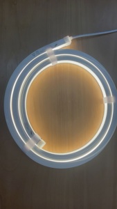 Facile installazione <span class=keywords><strong>da</strong></span> <span class=keywords><strong>esterno</strong></span> <span class=keywords><strong>LED</strong></span> <span class=keywords><strong>Neon</strong></span> tubo flessibile luce 24V Silicone lampada 5M accessori di montaggio per la decorazione esterna - Product Image 4