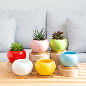 ชุดกระถางต้นไม้เซรามิกทรงกลม,กระถางปลูกพืชอวบน้ำแบบเรียบง่ายสร้างสรรค์สไตล์นอร์ดิก - Product Image 5