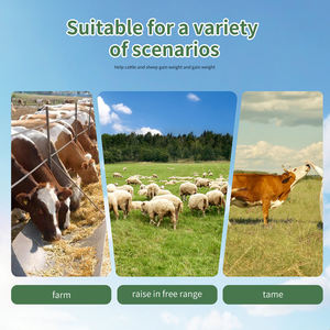 אדום גידול כבשים גידול בקר גידול בקר מזון עבור בעלי חיים משמין עלייה במשקל לשפר את איכות בשר ויטמין פרחת אבקת פרחת - Product Image 5
