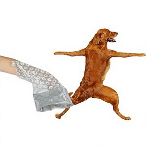 Direct-from-factory Cross-border PE Material Eco-friendly Disposable Portable Pet Waste Bags <b>Storage</b> <b>Box</b> -ready for <b>Dogs</b> - Product Image 1