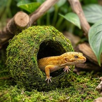 Caverne de cachette hydratante en mousse pour reptiles, habitat pour serpents et lézards, décoration de terrarium, maison de cachette