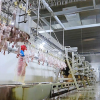 Qingdao Raniche Machine Abattoir Automatisé Abattage De Poulet Mini Volaille Halal Sl