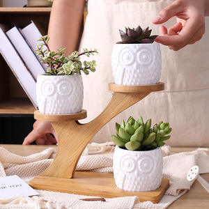 Pot de <span class=keywords><strong>fleurs</strong></span> créatif de qualité supérieure en céramique décorative, avec cadre écologique classique en forme de hibou et emballage combiné en boîte avec insert. - Product Image 2