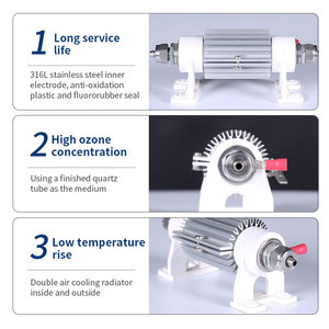 Giá rẻ Giá làm mát không khí gốm Ozone ống 1 gam/giờ với 110V 220V DC12V DC24V - Product Image 5