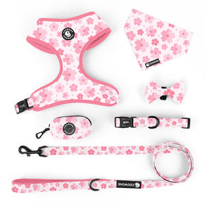 Arnés Personalizado para Mascotas, Arnés de Aventura para Perros, Collares y Correas, Pañuelo, Arnés de Exploración, Fabricante de Accesorios para Mascotas - Product Image 2