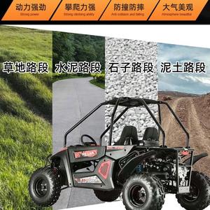 Karts Personalizados para Tiendas de Fábrica, Varios Autos Divertidos - Product Image 4