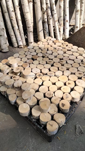 Nichoir artisanal en bois de bouleau pour jardin domestique, abri pour animaux, couleur naturelle, OEM personnalisé, vente en gros - Product Image 4