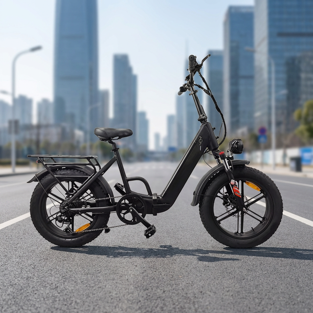 Naturun EB20-099 Hot Sale 48V 1000W 20" Fat Tire Foldable Electric City Bike Lithium Battery Aluminum Alloy Frame Dual