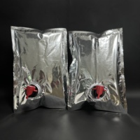 Sac BIB (Bag-in-Box) de 1L à 20L pour café, thé, jus, avec valve, sacs antiseptiques de 3L pour vin avec robinet, sac à boisson pour cocktails