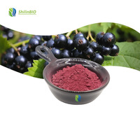 SLBIO Fabriek Leverancier Zwarte Bes Zwarte Bes Fruitpoeder Zwarte Bes Poeder
