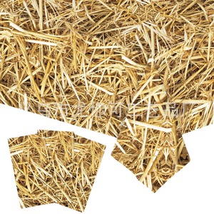 Straw <b>Tablecloth</b> <b>Rectangle</b> 137x274 Cm Digital Printing Plastic Sheet Birthday Party Decor Prop Cloth Disposable Cover - Product Image 4