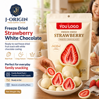 Fresas Liofilizadas con Chocolate Blanco, Dulce de Frutas Premium, 58g, 40 Bolsas, 12 Meses de Caducidad, Listo para Comer, OEM, Marca Privada
