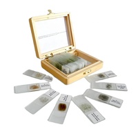 Mineral Slides Set Raw Rocks Slides Mineral Thin Section Geography Prepared Slides