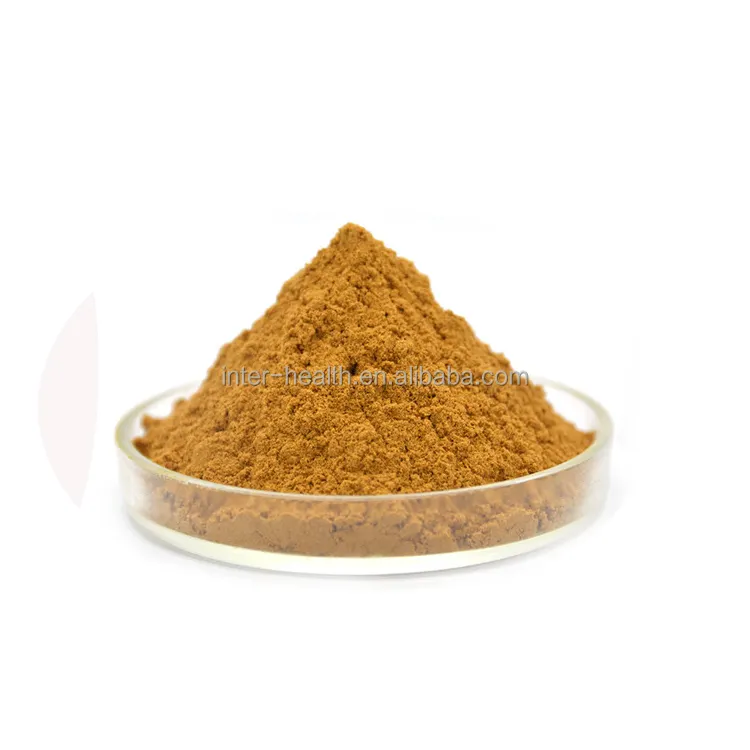 Topkwaliteit Natuurlijke Plant 10:1 20:1 Shiitake Paddestoel Extract Poeder Polysacchariden