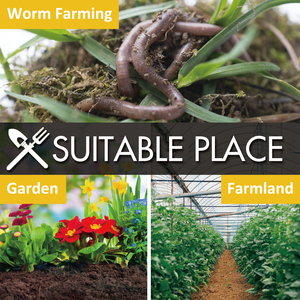 Nhiệt kế đất sâu cho vườn và nhiệt kế phân sâu Nhiệt kế đất - Product Image 6