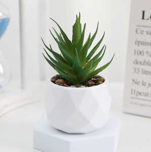 Bürodekoration Keramik-Blumentopf kleiner Kunststoff-Bonsai Minikitze künstliche Sukkulenten im Topf - Product Image 6