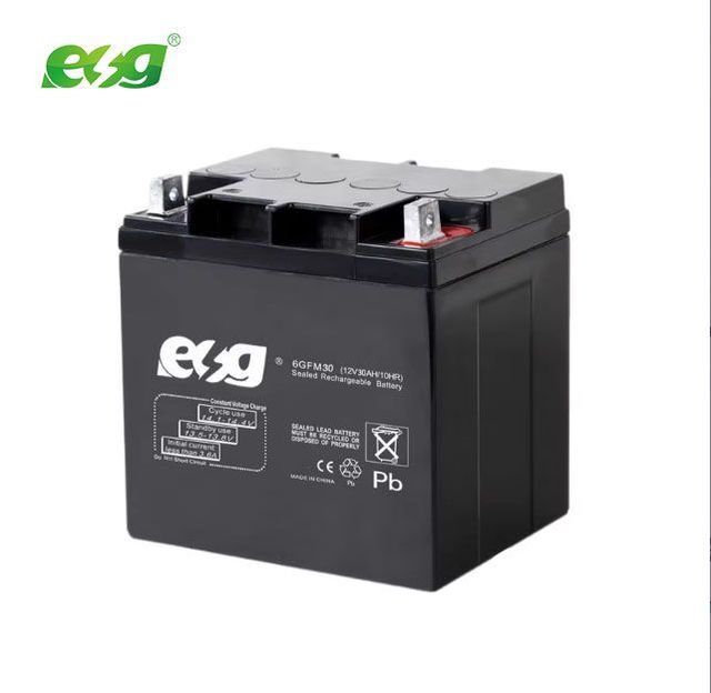 ESG 12V 33AH Deep Cycle Rechargeable AGM Sealed Lead Acid VRLA LiFePO4 Battery 5-Year Long Life for Solar UPS Backup Power