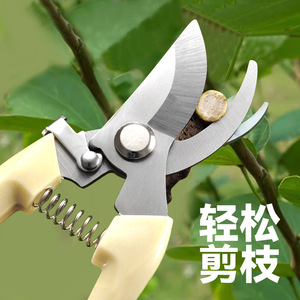 Garden Pruning Shears Stainless Steel Bypass Pruner 20-30 Mm For Fruit Tree Trimming Yangjiang Made - Product Image 3