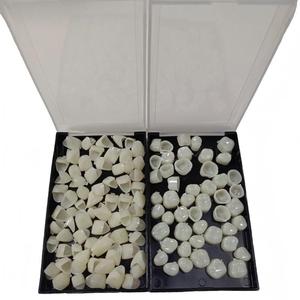 Kit de couronnes dentaires temporaires, couronnes en résine pour dents antérieures et postérieures, pour usage clinique - Product Image 3
