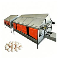 Pondoir automatique en acier galvanisé pour poules pondeuses, anti-roulement des œufs, pour grandes fermes avicoles