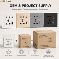 Prise murale universelle avec USB A et Type C 10A 2 prises 5V 2100mA/3100mA Prise de charge 4 couleurs OEM ODM