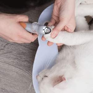 プロフェッショナル ペット用品 LEDライト搭載 爪切り 犬 猫用 ネイルトリマー - Product Image 6