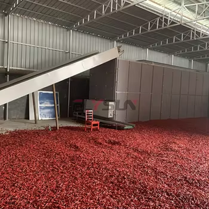 Chaîne de production complète pour le lavage, le séchage et l'emballage des piments en tranches, équipement de déshydratation des piments rouges - Product Image 2