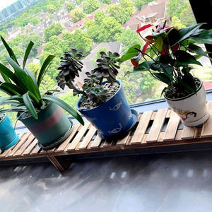 Support de fleurs suspendu élargi en bambou pour rebord de fenêtre de balcon, étagère de rangement anti-corrosion pour comptoir, présentoir de plantes - Product Image 3