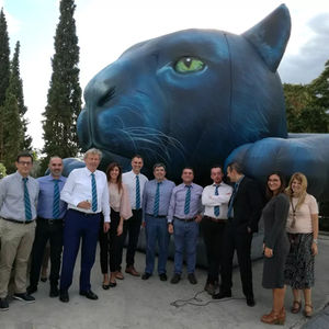 Impresión completa inflable publicidad Pantera dibujos animados inflable Pantera globo Animal mascota para exhibición de eventos al aire libre - Product Image 4