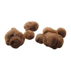 Detan-seta de trufa negra salvaje fresca, gran textura, disponible en diferentes tamaños, nueva temporada, 2020 - Product Image 1