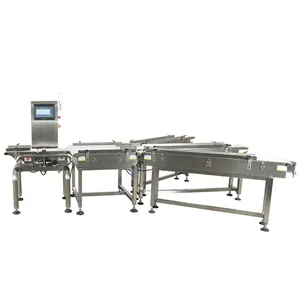 Online Conveyor Belt Weight Checking Machine With Rejection System Weight Sorter