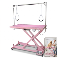 Table de toilettage pour animaux de compagnie électrique rose professionnelle avec prises de courant, table de toilettage pour chiens robuste