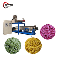 Machine à micro-pellets en acier inoxydable pour farine de maïs et de riz, ligne de production instantanée 200 kg/h pour la transformation alimentaire