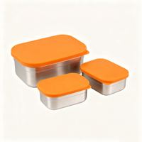 Ensemble de 3 contenants alimentaires rectangulaires pour le camping, 270 ml et 700 ml, boîte à lunch en acier inoxydable 304, couvercles en silicone étanches
